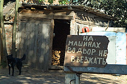 ������, ����