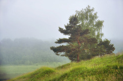 ����������� ������ �������, �������� ��� �� ��������� ������ ���� �����, �������� ����