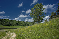 ����� �������, �������� �������, ������ ������� �� ������ �����