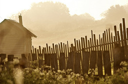 ����������� ������ �������, �������� ��� �� ��������� ������ ���� �����, �������� ����