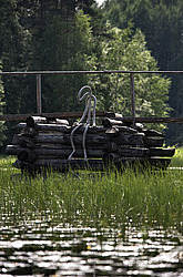 ������������� �������, ����������� �������, ������� � ���������