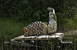 ������������� �������, ����������� �������, ������� � ���������