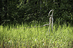 ������������� �������, ����������� �������, ������� � ���������