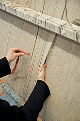 ������, �������� ���������� ���� �����