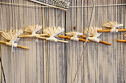 ������, �������� ���������� ���� �����