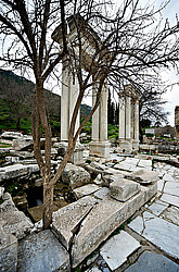 ����, ������. ����� ������� ������