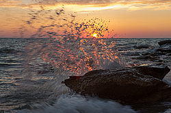 ����, ���������, ����