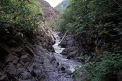 ���� ��������