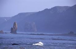 ����� ��������