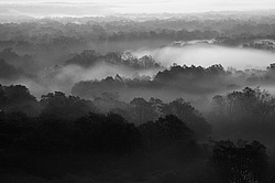 ������ �����, ������� ���� ������. ����� � �����