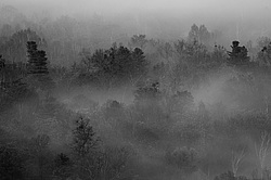 ������ �����, ������� ���� ������. ����� � �����