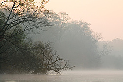 ������ �����, ������� ���� ������. ����� � �����