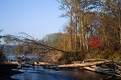 ������ �����, ������� ���� ������. ����� � �����