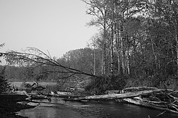 ������ �����, ������� ���� ������. ����� � �����