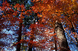 ������ �����, ������� ���� ������. ����� � �����