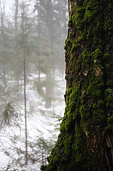  ������� �������� ���. �������� ��������� ���