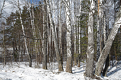 ��������� ��� � ������,