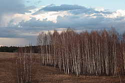 Central Russia. April. ��������� ���������. ������, ������.