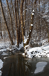  ���� � �����������. ����� � ������ � ������ ������.