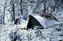 ��������� � ������