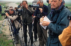 ��������� � ������