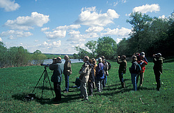 ��������� � ������