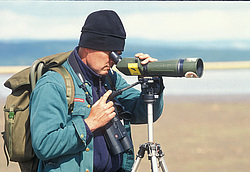 ��������� � ������