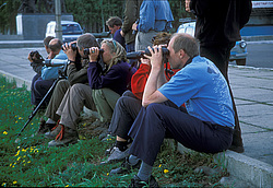 ��������� � ������