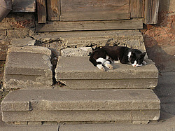 ������, ����, ��������� ������, ����� �� ����������