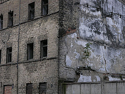 ����, ��������� �������, �������� ������