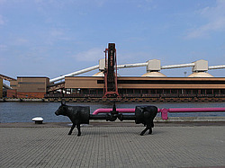 ������, ���������, � �����