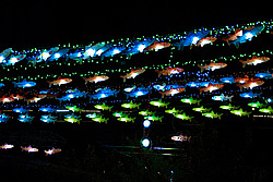 ����� �����, ���� - ��������� �������. ������ ���