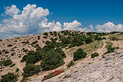 ��� ����� � �����������. �����, ����, ������