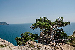 ��� ����� � �����������. �����, ����, ������