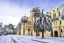 ����-�������� ������-����������� ���������, ����� ����, �������