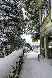 ���� �������, ����� ����, �������