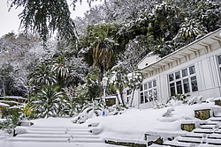 ���� �������, ����� ����, �������