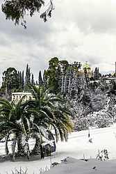 ����-�������� ������-����������� ���������, ����� ����, �������