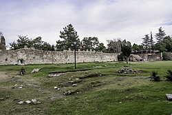 ����� ������ �������������, �������, �������