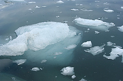 ����� �������� ����� � ������� ���������, ����������