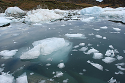 ����� �������� ����� � ������� ���������, ����������