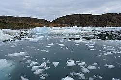 ����� �������� ����� � ������� ���������, ����������