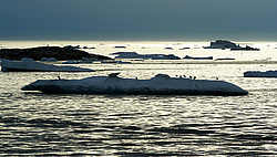 ��������� ������ � ������ ��������, ����� � ������� ���������, ����������