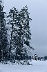 ����������� ������������ ����, ������� (������������ ���������)