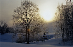 ����������� ��� ����, ����� ���������� , �������� ������� ( ����������� ������� ������������)