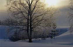 ����������� ��� ����, ����� ���������� , �������� ������� ( ����������� ������� ������������)