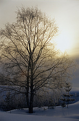 ����������� ��� ����, ����� ���������� , �������� ������� ( ����������� ������� ������������)