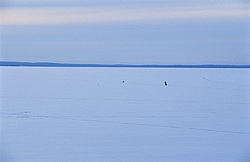 ����������� ��� ����, ����� ���������� , �������� ������� ( ����������� ������� ������������)