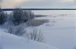 ����������� ��� ����, ����� ���������� , �������� ������� ( ����������� ������� ������������)