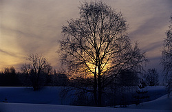 ����������� ��� ����, ����� ���������� , �������� ������� ( ����������� ������� ������������)